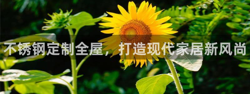 BB电子骗局