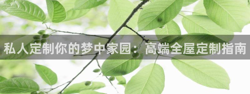 bb电子哪个平台好用一点