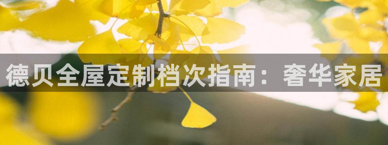 bb电子哪个平台好用点