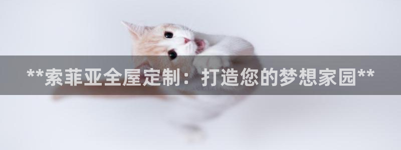 BB电子麻将胡了