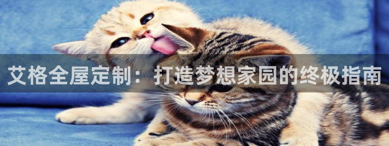 bb电子mini彩金