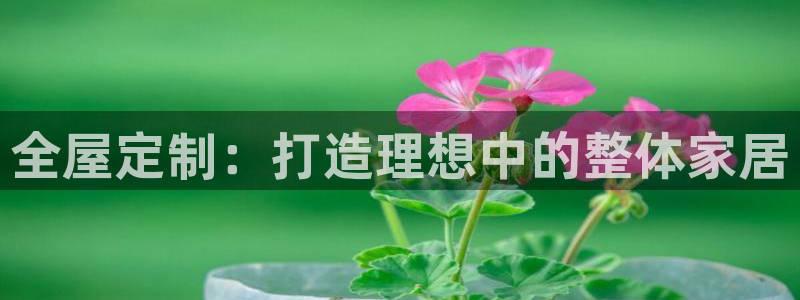 bb电子哪个平台好