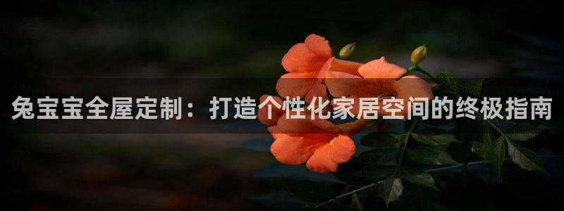 bb电子哪个平台好
