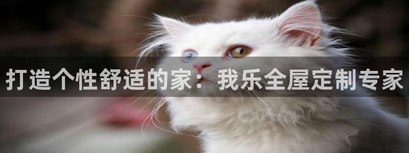 BB电子锁怎么接电