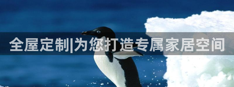 bb电子教育平台
