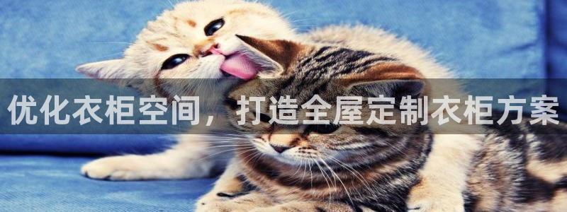 bb电子为什么总赢不了