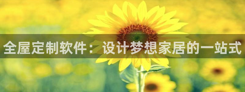 bb电子哪个平台好用点