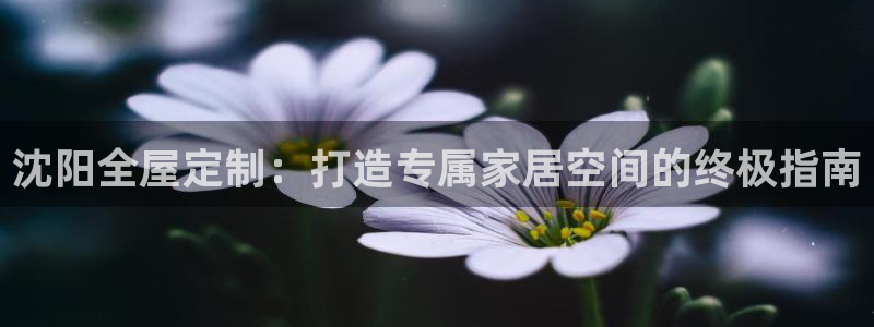 BB电子麻将胡了