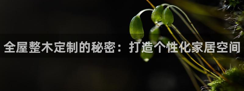 BB电子哪个平台好出款