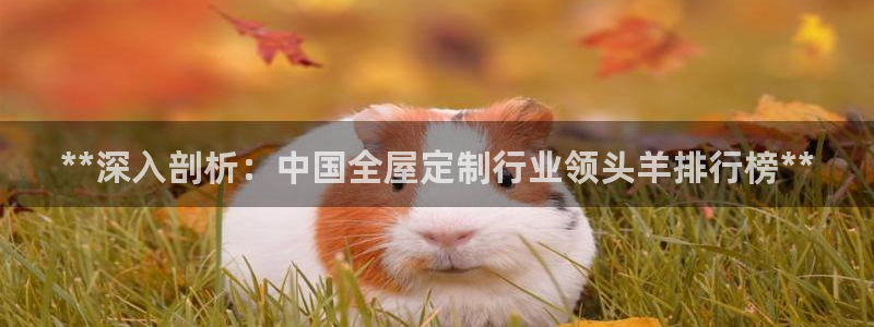bb电子官网