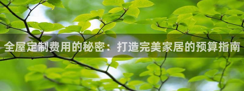 bb电子哪个平台好出款啊