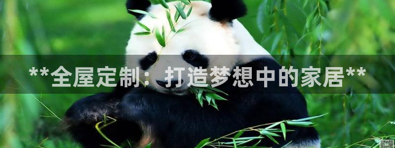 bb电子哪个平台好啊