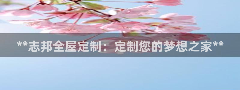 bb电子哪个平台好