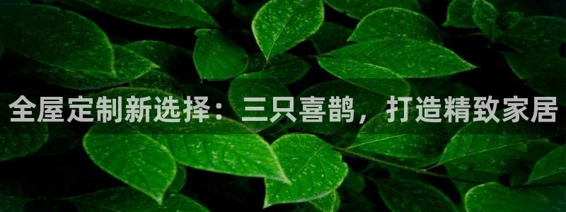 bb电子游戏作弊