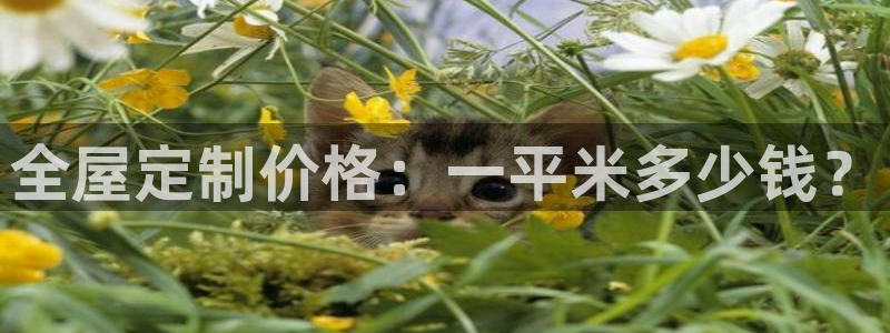 BB电子烟官网