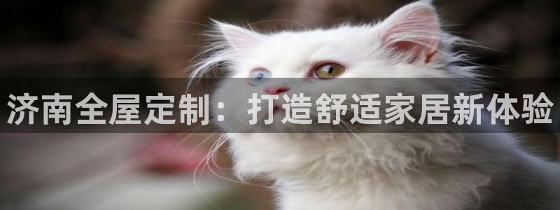 bb电子官网