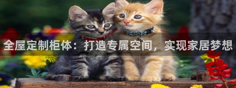 bb电子哪个平台好一点