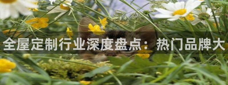 bb电子哪个游戏好赢钱一点