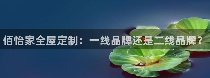bb电子怎么英语怎么说