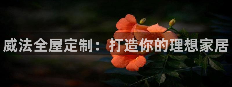 BB电子游戏钱得钱