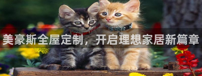 bb电子哪个平台好用
