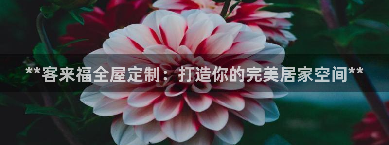 bb电子哪个平台好啊
