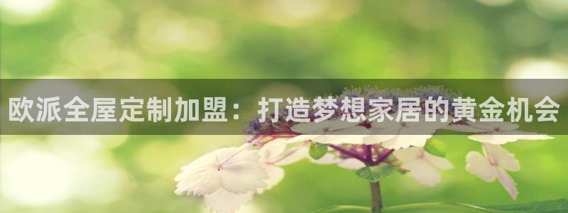 bb电子哪个平台好些