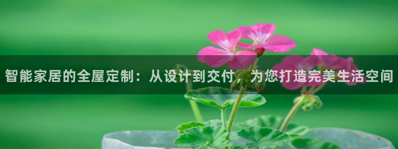 网上bb电子为什么那么假
