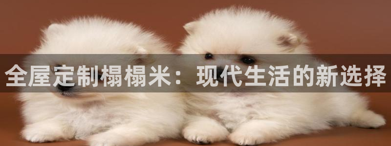 bb电子哪个平台好啊