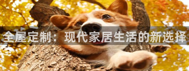 bb电子游戏娱乐平台