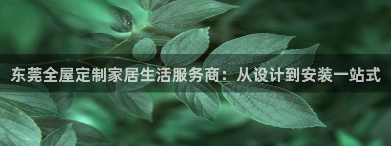 bb电子中了Major怎么算