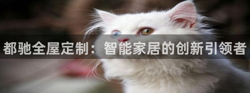网上bb电子为什么那么假的
