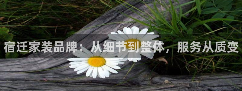 bb电子教育平台