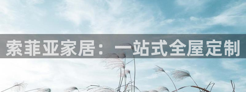 bb电子哪个平台好一点