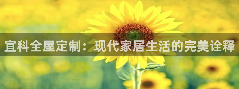 BB电子连环夺宝