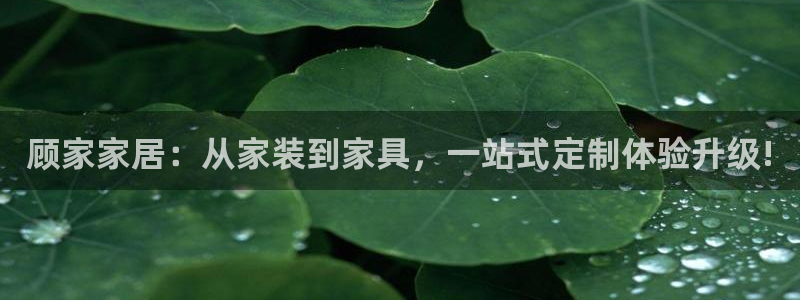 bb电子哪个平台好一点