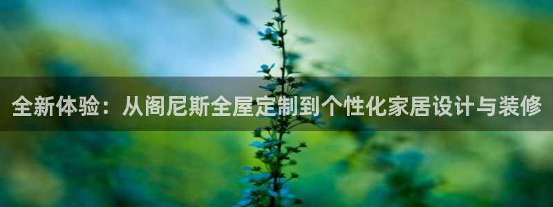 bb电子怎么英语怎么说