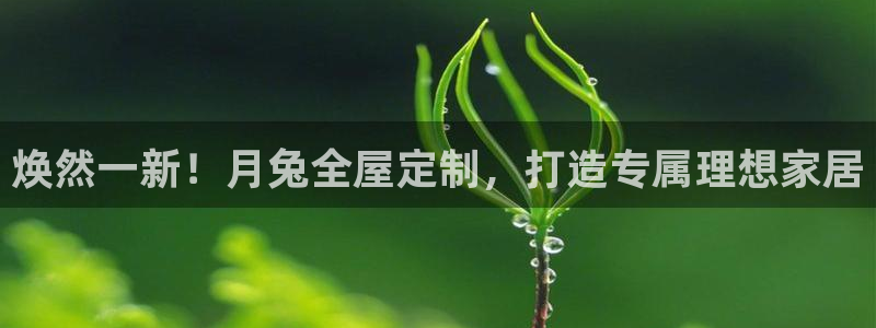 bb电子中了Major怎么算