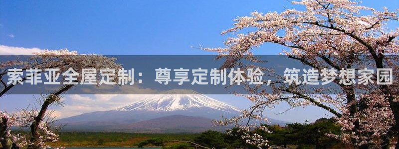 BB电子锁怎么接电