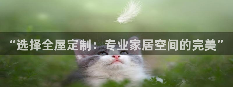 bb电子官网登录