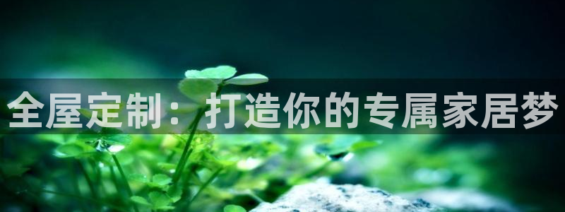 网上bb电子为什么那么假