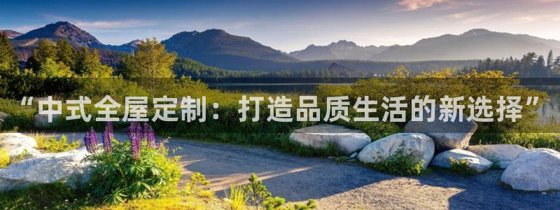 bb电子哪个平台好用一点