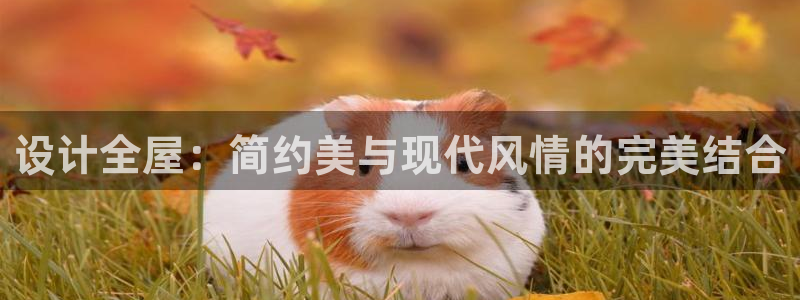 bb电子怎么英语怎么说