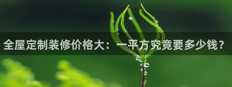 bb电子哪个平台好用点