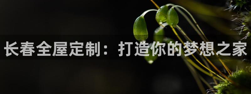 bb电子什么游戏好赢一点