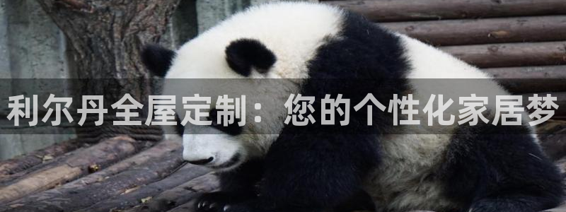 bb电子哪个平台好一点