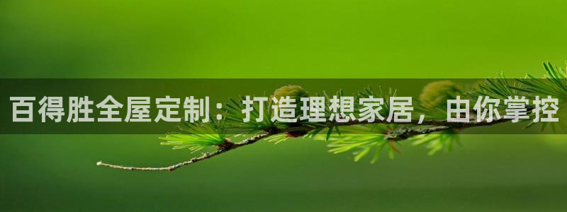 bb电子哪个平台好用