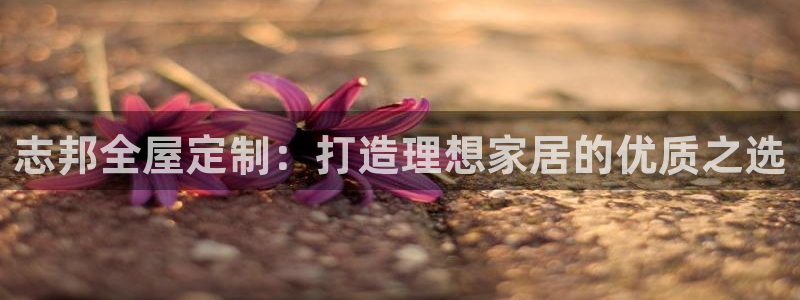 网上bb电子为什么那么假