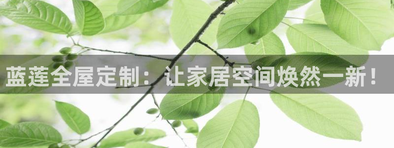 网上bb电子为什么那么假