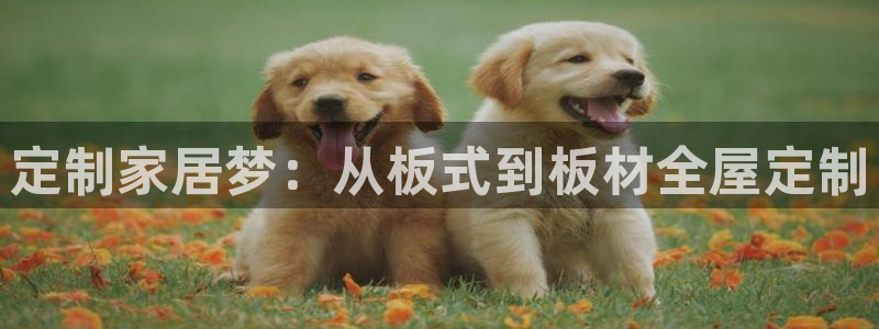 bb电子哪个平台好用一点